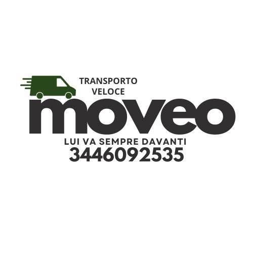 MOVEO