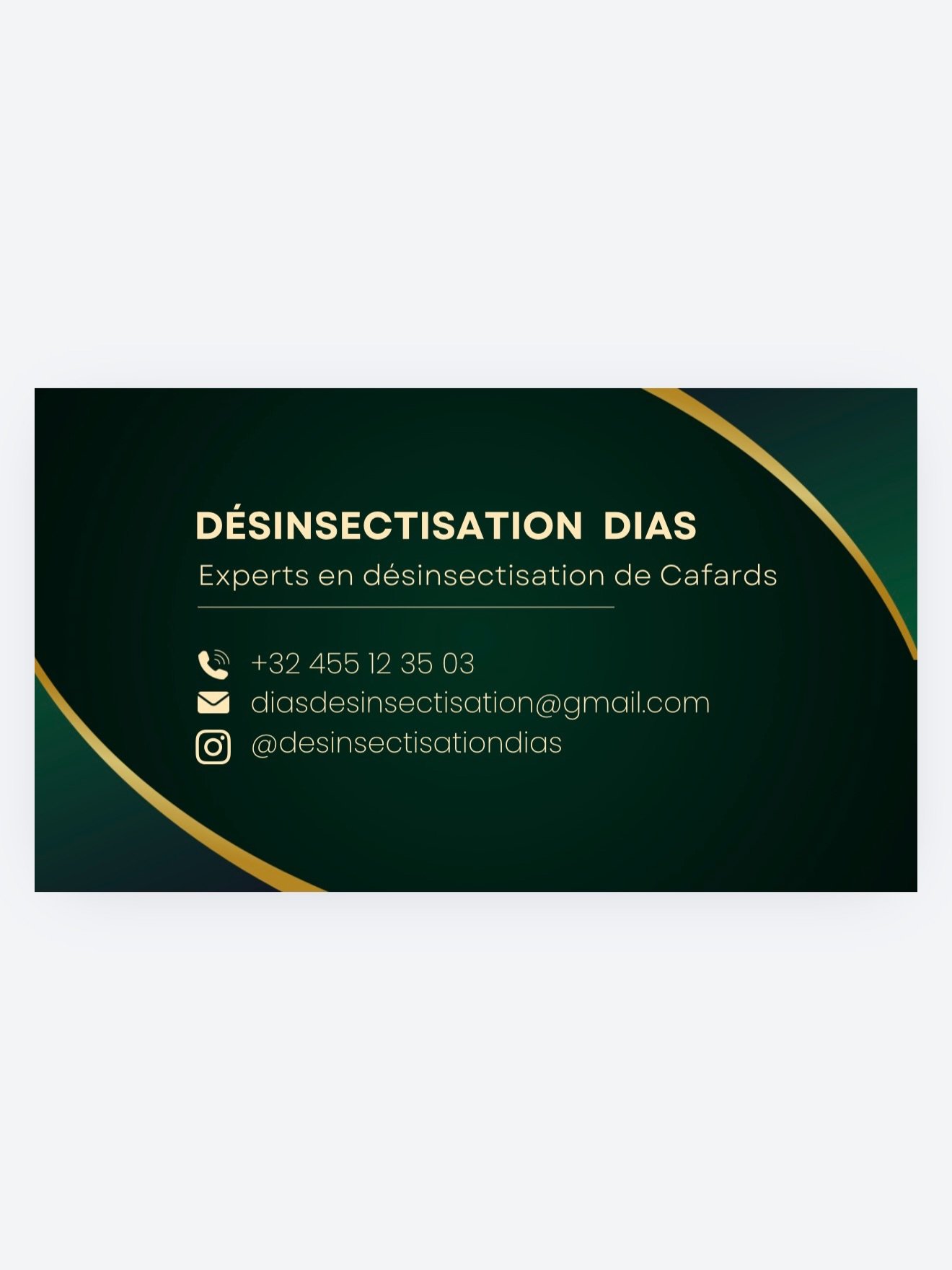 Desinsectisation Dias Dedetização